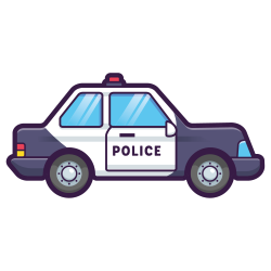 Policja