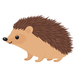 Jeż